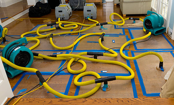 Professional Water Extraction technician working in Morristown, OH